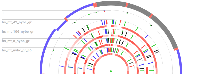 Header image for MitoViewer